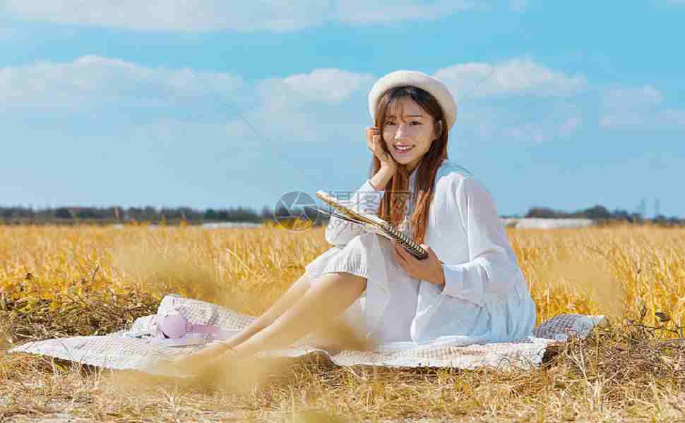 站群关键词排名