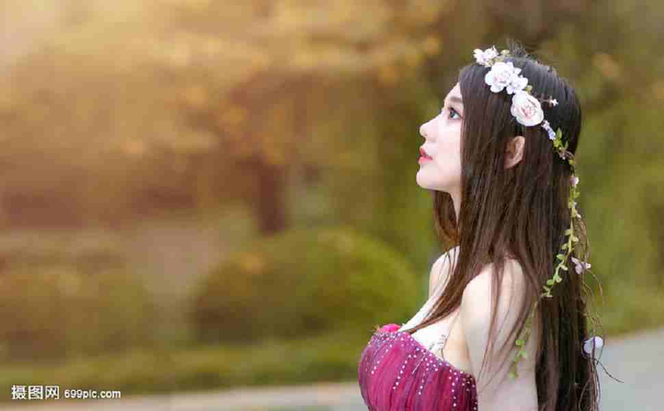 泛目录站群原理